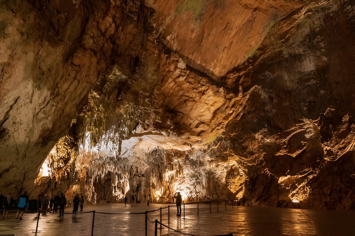 Caverna de Postojna-Postojna