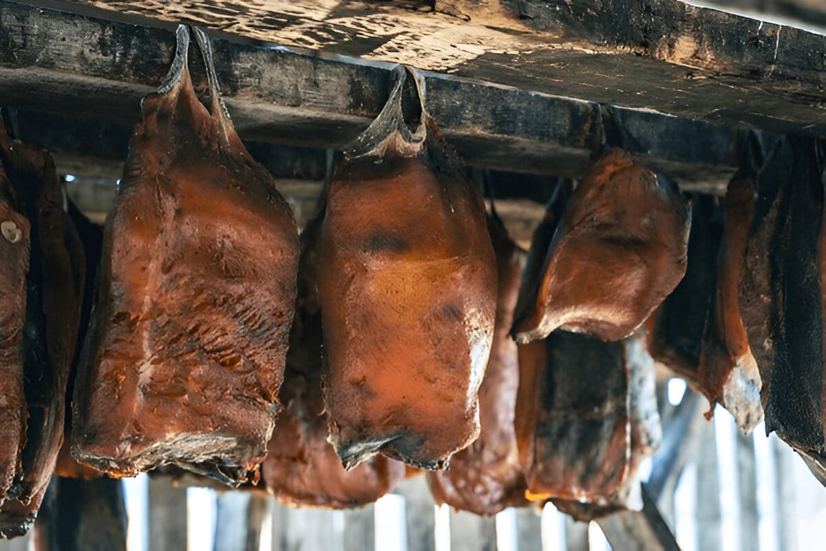 Hákarl – carne fermentada de tubarã
